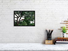 Load image into Gallery viewer, 8576292-3117411