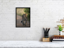 Load image into Gallery viewer, 8576299-3117440