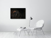 Load image into Gallery viewer, 8576290-3117481