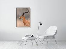 Load image into Gallery viewer, 8576285-3117405