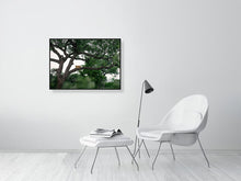 Load image into Gallery viewer, 8576292-3117413