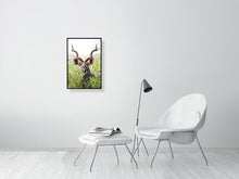 Load image into Gallery viewer, 8576304-3117418