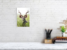 Load image into Gallery viewer, 8576304-3117414