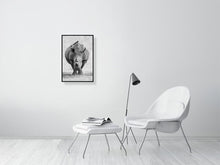 Load image into Gallery viewer, 8869094-3322501