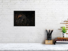 Load image into Gallery viewer, 8576290-3117478