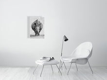 Load image into Gallery viewer, 8869094-3296304