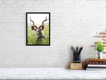 Load image into Gallery viewer, 8576304-3117417