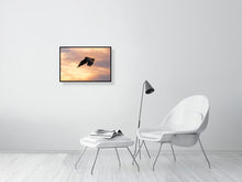 Load image into Gallery viewer, 8576300-3117435