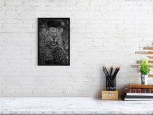 Load image into Gallery viewer, 9104630-3502346