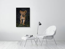 Load image into Gallery viewer, 8576288-3117463