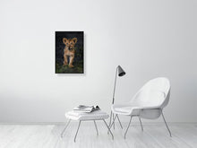 Load image into Gallery viewer, 8576288-3117462