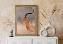 Load image into Gallery viewer, Alert