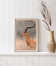 Load image into Gallery viewer, Alert