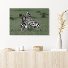 Load image into Gallery viewer, Clash of Stripes