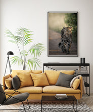 Load image into Gallery viewer, Female Confidence