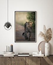 Load image into Gallery viewer, Female Confidence