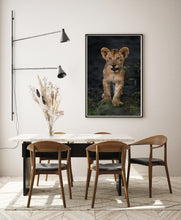 Load image into Gallery viewer, Inquisitive Eyes