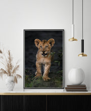 Load image into Gallery viewer, Inquisitive Eyes
