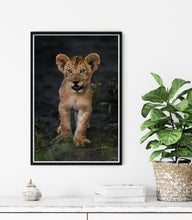 Load image into Gallery viewer, Inquisitive Eyes