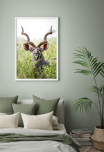 Load image into Gallery viewer, Kudu