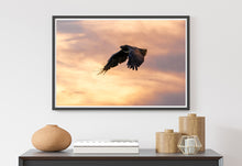 Load image into Gallery viewer, Sunset Flight