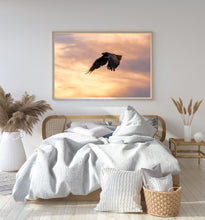 Load image into Gallery viewer, Sunset Flight