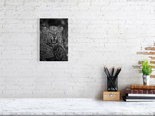 Load image into Gallery viewer, 9104630-3502343