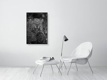 Load image into Gallery viewer, 9104630-3502348