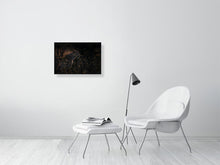 Load image into Gallery viewer, 8576290-3117479