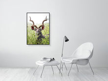 Load image into Gallery viewer, 8576304-3117420