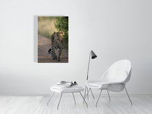 Load image into Gallery viewer, 8576299-3117439