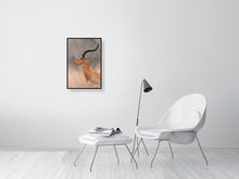 Load image into Gallery viewer, 8576285-3117403