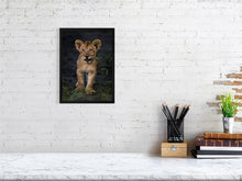 Load image into Gallery viewer, 8576288-3117461