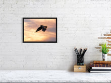 Load image into Gallery viewer, 8576300-3117434