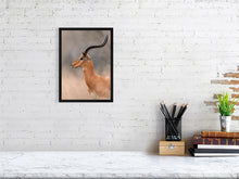 Load image into Gallery viewer, 8576285-3117401