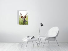 Load image into Gallery viewer, 8576304-3117415