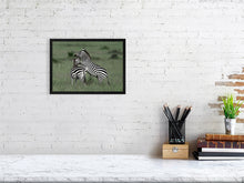 Load image into Gallery viewer, 8576294-3117485