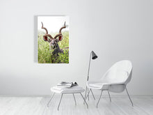 Load image into Gallery viewer, 8576304-3117416