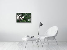 Load image into Gallery viewer, 8576292-3117412