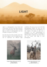 Load image into Gallery viewer, Wildlife Photography E-book - Guide for beginners