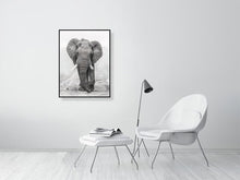 Load image into Gallery viewer, 4975117-2611478