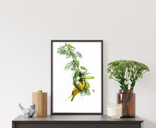 Load image into Gallery viewer, The Architect