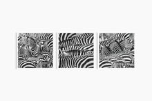 Load image into Gallery viewer, The Dazzle I