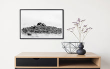 Load image into Gallery viewer, Dung Battle