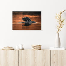 Load image into Gallery viewer, Golden Hippo