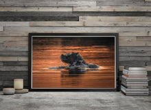 Load image into Gallery viewer, Golden Hippo