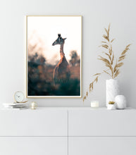 Load image into Gallery viewer, Graciously Awkward