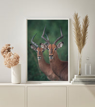 Load image into Gallery viewer, Impala