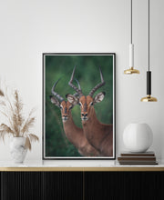 Load image into Gallery viewer, Impala