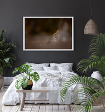 Load image into Gallery viewer, Rabbis